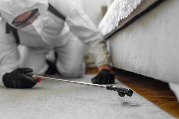 Professional Pest Control technician working in East Atlantic Beach, NY