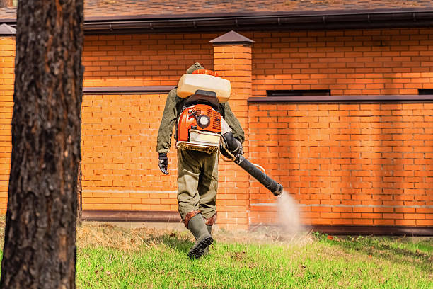 Trusted Mosquito Control service in East Atlantic Beach, NY - Nex Pest Control